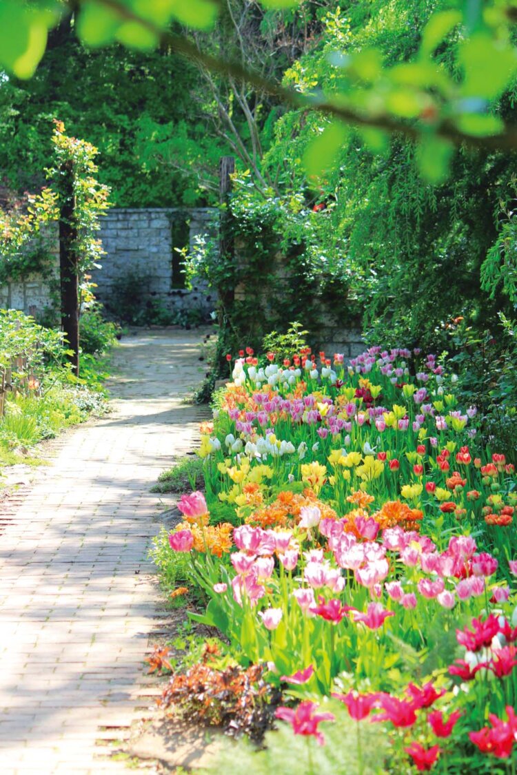 4月中～下旬は形も色もさまざまな2万球のチューリップが園内のあちこちで見られる。