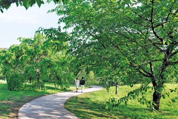 『garden AUX PARADIS』の敷地内はバリアフリーの散策路が整備されている。