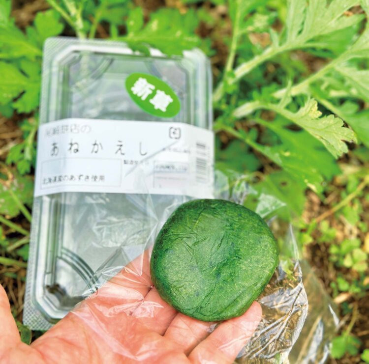 よもぎのシーズン限定販売の濃厚すぎるよもぎ餅、尾崎餅店の「あねかえし」（こねてかえすの意）。
