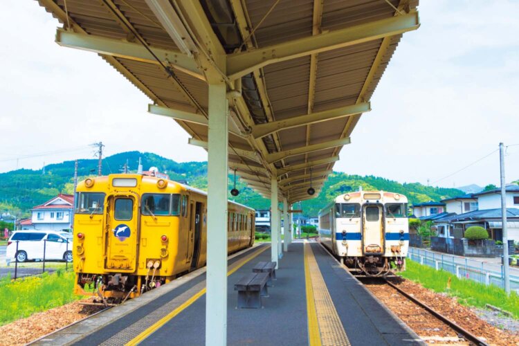 飫肥駅に停車中の日南色（左）とJR九州オリジナル色（写真＝玉村恵理子）。