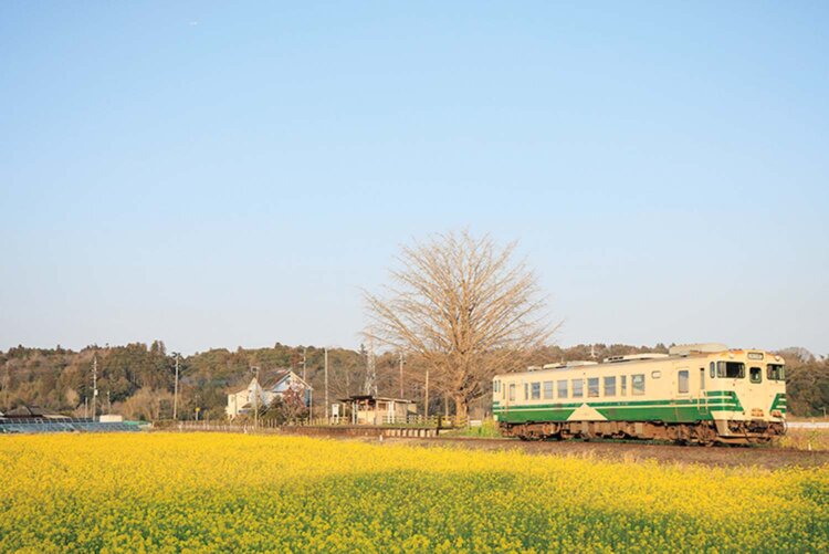 写真＝レイルマンフォトオフィス。