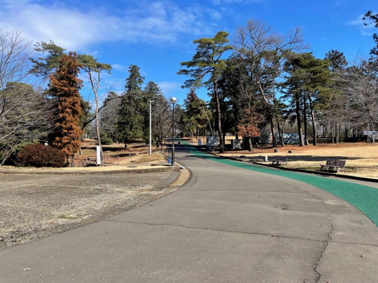 埼玉県営狭山稲荷山公園。