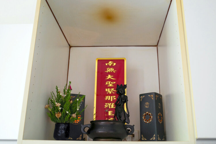 護國寺10台湾ベジ