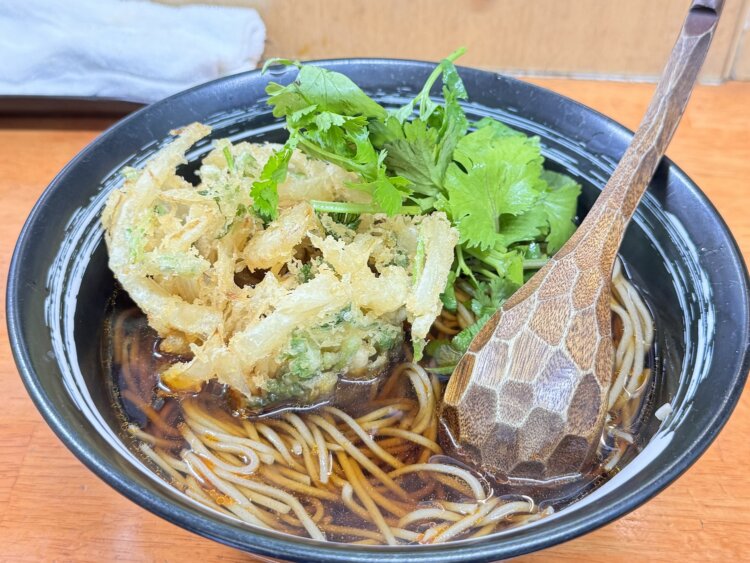 パクチー小エビかき揚げベトナム風そば700円。スッパ辛でもちゃんとそば。