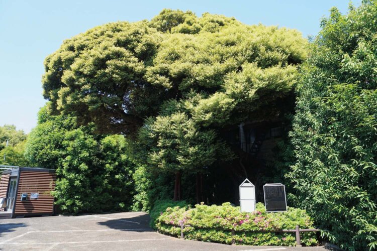 延命院