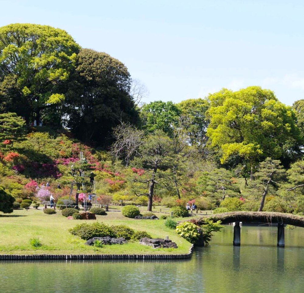 【大江戸散歩コース】王子・駒込・巣鴨～江戸庶民の町・王子から大名庭園の六義園へ日光御成道を歩く～