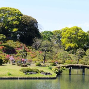【大江戸散歩コース】王子・駒込・巣鴨～江戸庶民の町・王子から大名庭園の六義園へ日光御成道を歩く～