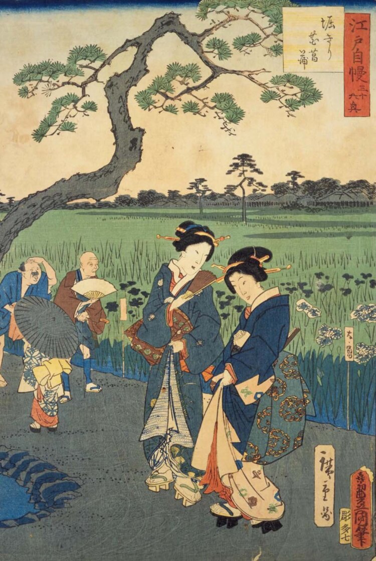 歌川広重・豊国『江戸自慢三十六興 堀きり花菖蒲』。