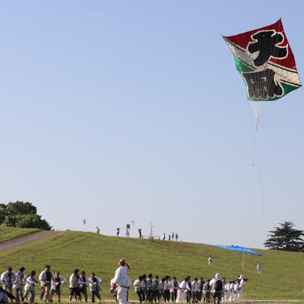 百畳敷きの大凧が空に舞い上がる！「春日部大凧あげ祭り」が春日部市の西宝珠花の江戸川河川敷で5月3・5日に開催
