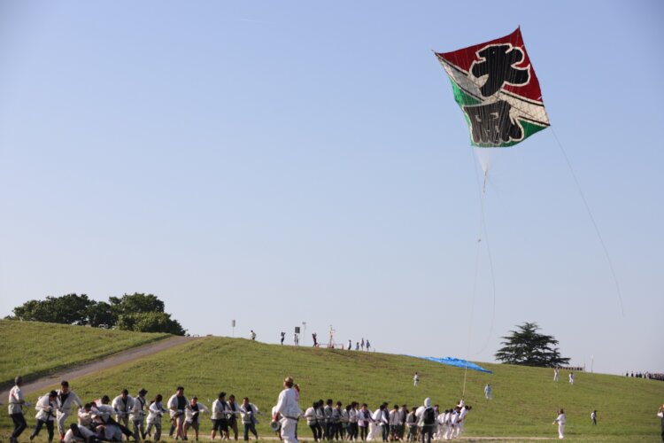 百畳敷きの大凧が空に舞い上がる！「春日部大凧あげ祭り」が春日部市の西宝珠花の江戸川河川敷で5月3・5日に開催