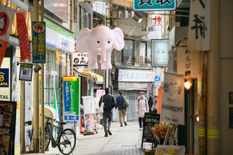 駅南口アーケードのアイドル・ピンクの象はハリボテから2018年に代替わりした3代目。