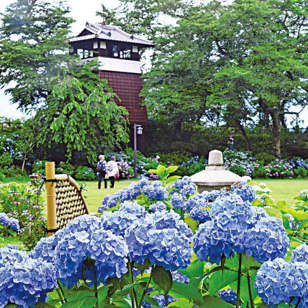 『風、薫る』主人公のモチーフの一人・大関和（おおぜきちか）のふるさと、黒羽ってどんなとこ？