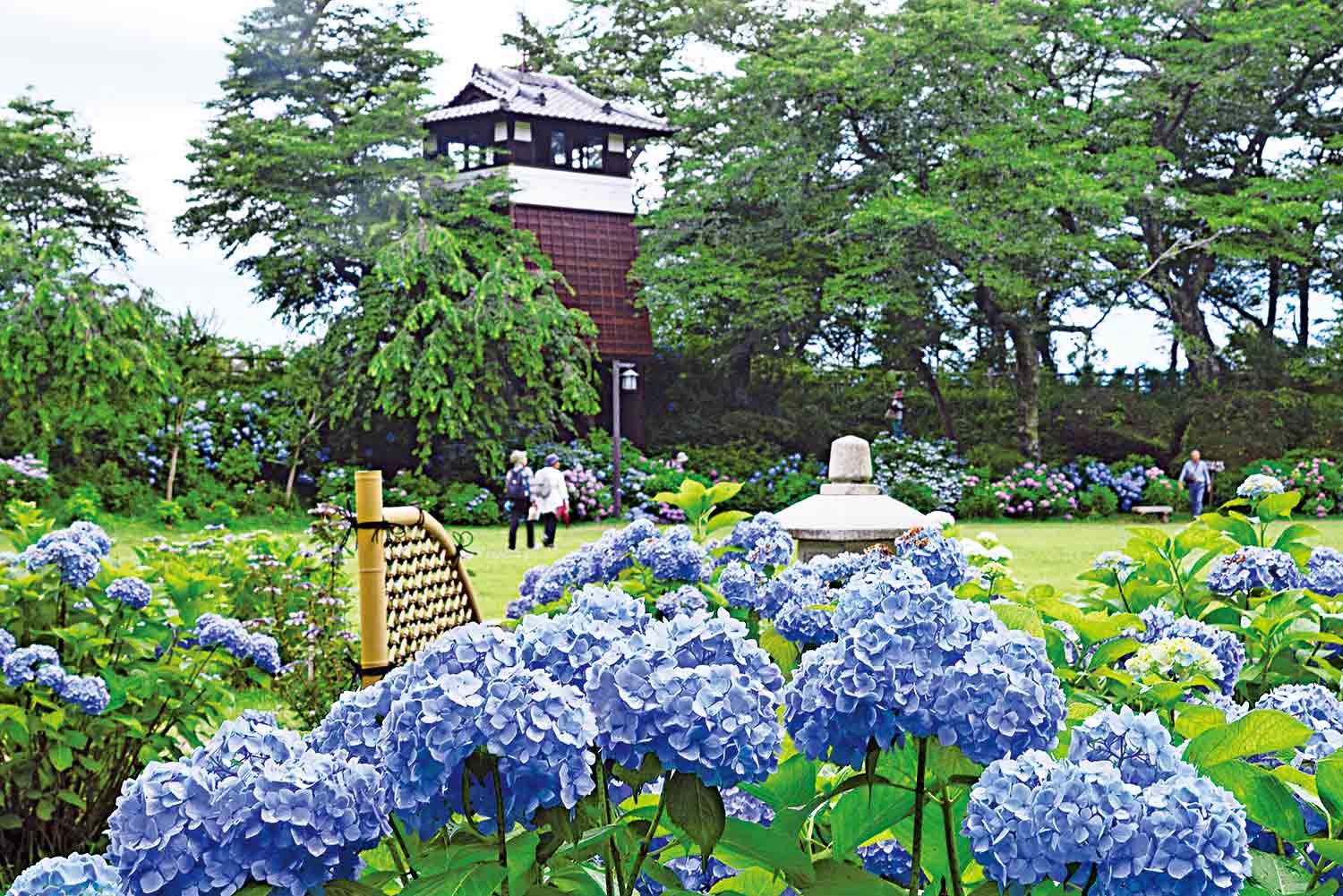 【旅の手帖】黒羽_1