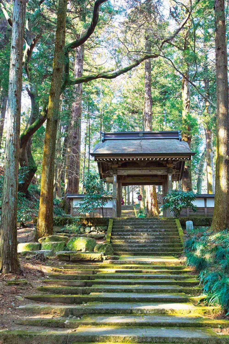 山門を杉木立が包み込む。