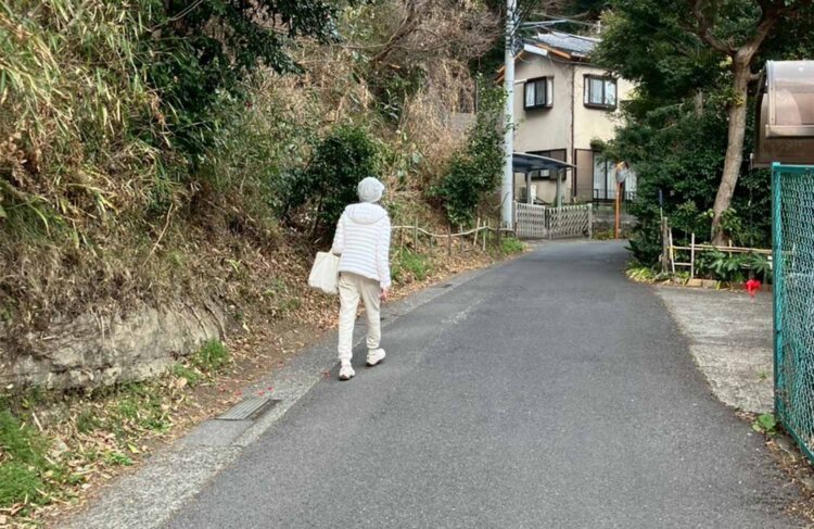 北鎌倉台商店への坂道をてくてく。