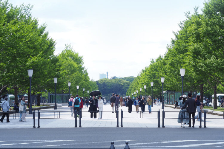 東京街角クイズ 並木道（街路樹）