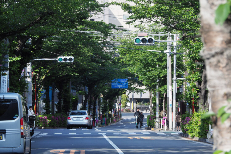 山手通りとの交差点のそば。