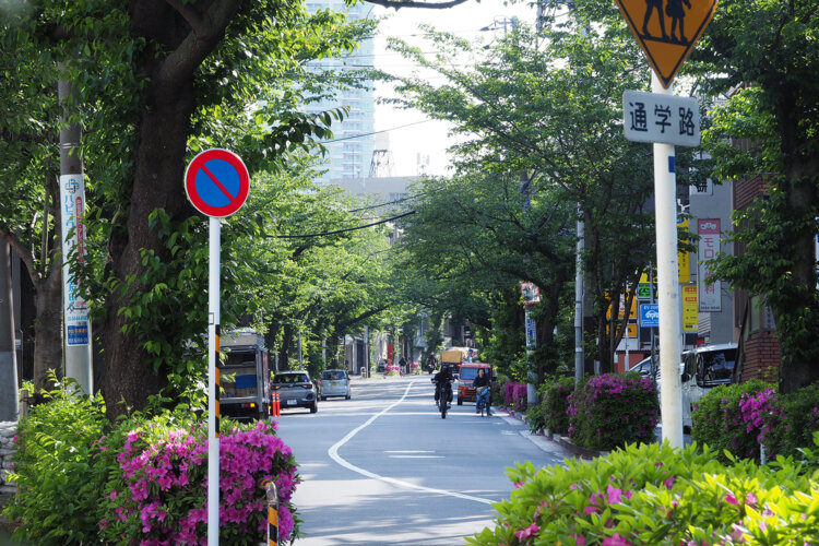 東京街角クイズ 並木道（街路樹）