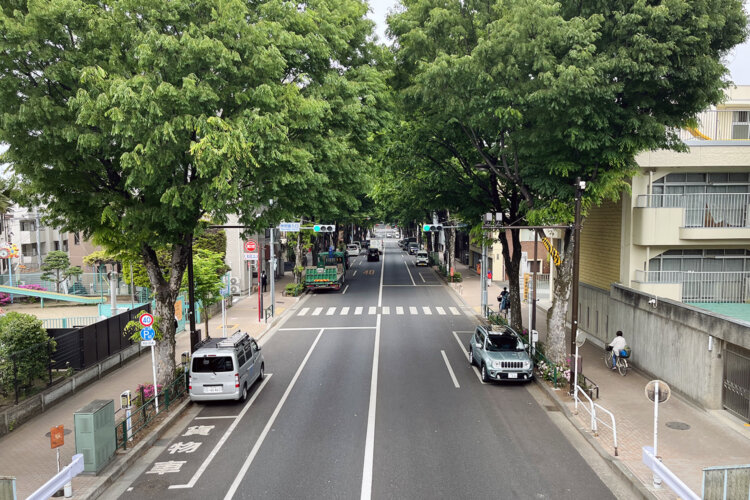 東京街角クイズ 並木道（街路樹）