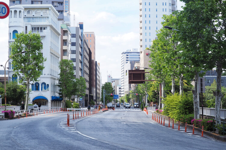 東京街角クイズ 並木道（街路樹）