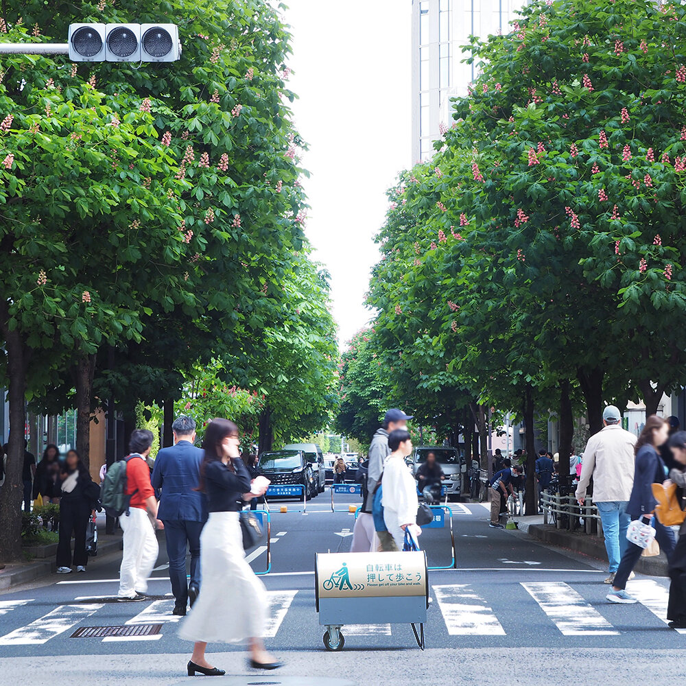 【東京街角クイズ】この写真、どこの並木道でしょう？〈全6問〉