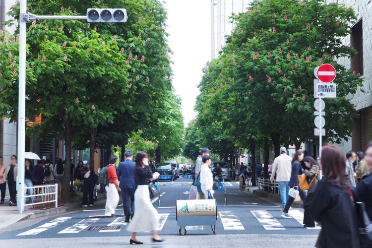 【東京街角クイズ】この写真、どこの並木道でしょう？〈全6問〉