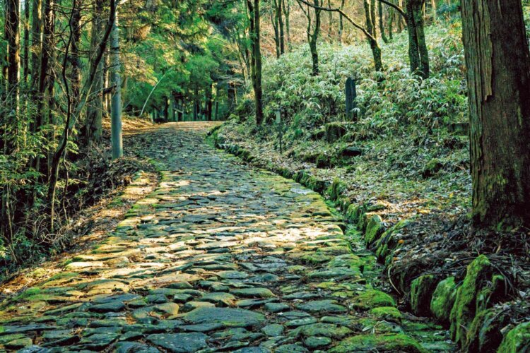 馬籠宿と落合宿を結ぶ、十曲（じっこく）峠に復元された全長840ｍの落合の石畳。往時の石畳も一部残る。●JR中央本線中津川駅からバス15分の木曽路口下車、徒歩30分。