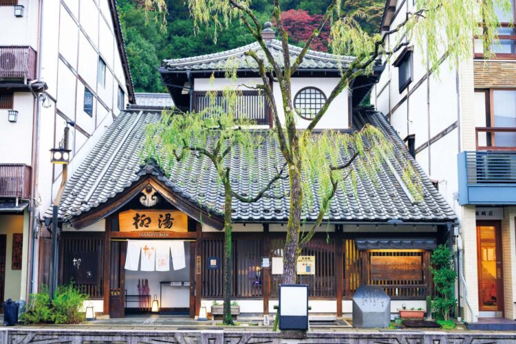 大谿川と柳とレトロな建物が一体となった風情ある景観。