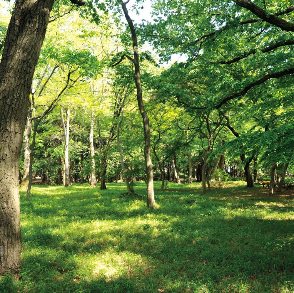 【多摩散歩コース】武蔵野市～井の頭恩賜公園の自然と個性的な専門店～