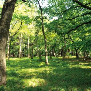 【多摩散歩コース】武蔵野市～井の頭恩賜公園の自然と個性的な専門店～