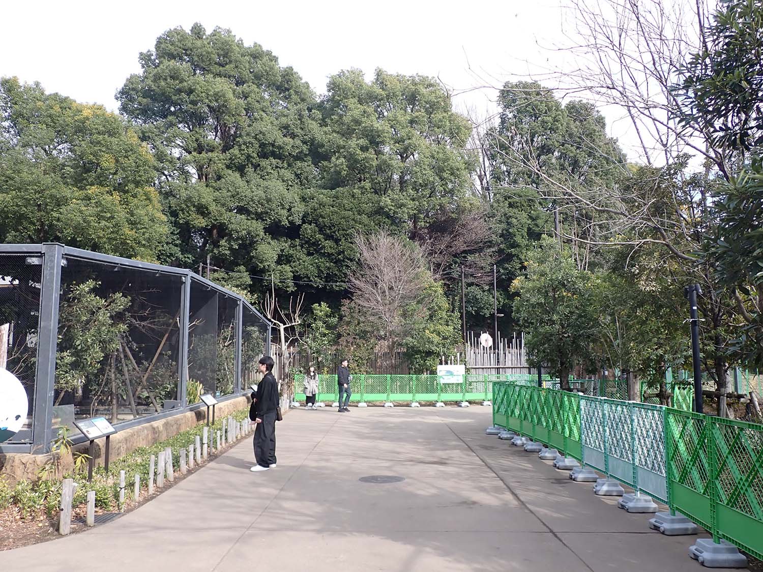 P2120614-2上野のおとしぶみ