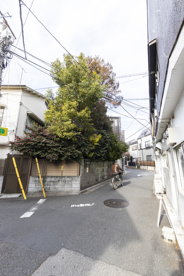 藍染川の蛇行跡が残る蛇道。