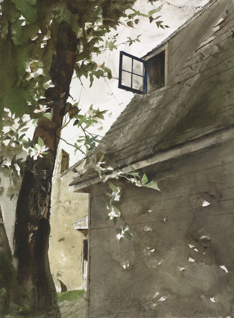 《花びら》 1991年 水彩、紙　75.5x56cm『ボストン美術館』Museum of Fine Arts, Boston, Bequest of Sandra Sheppard Rodgers。（2026） Wyeth Foundation for American Art / ARS, New York / JASPAR, Tokyo。