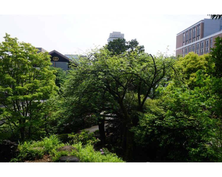 gokokuji9