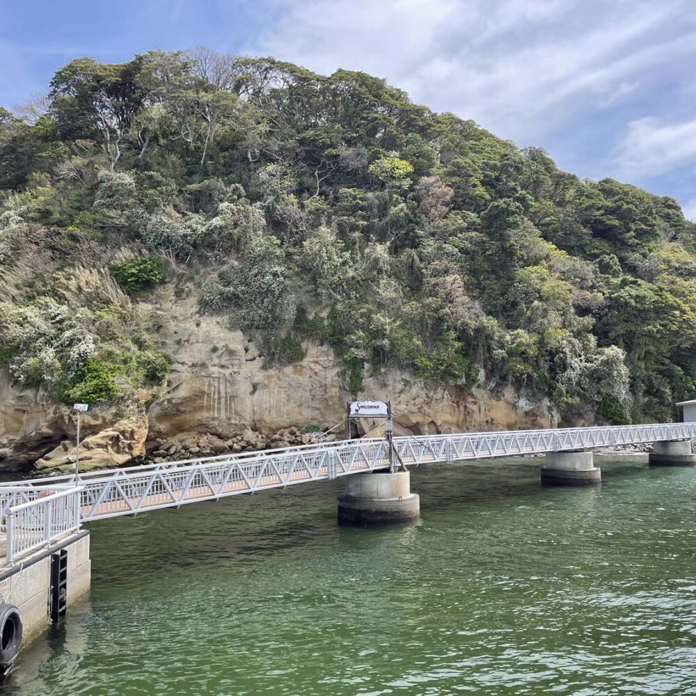 軍港の歴史とともに歩んだ横須賀へ。子供が指差すエイの向こうには【「水と歩く」を歩く】