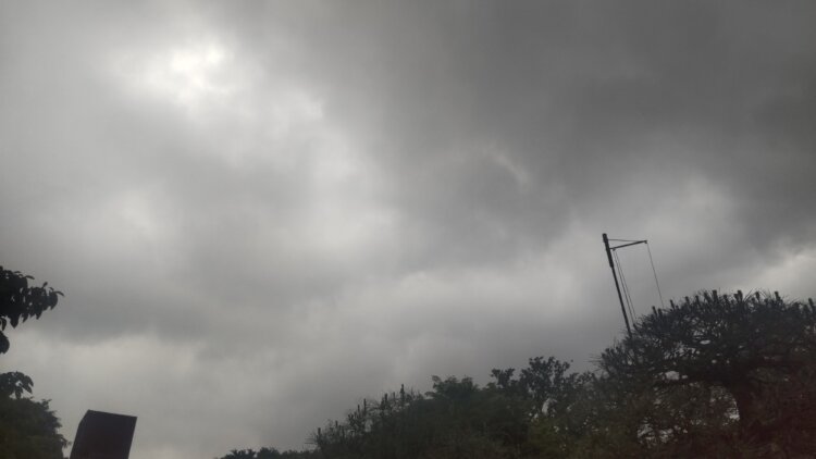 今にも雨が降り出しそうな空、足元から感じるにおいからも変化がわかる。