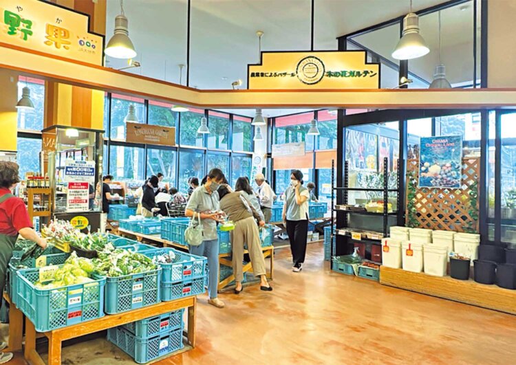 毎朝行列ができる産直コーナー。野菜はもちろん、生産者手作りの郷土のお菓子なども。