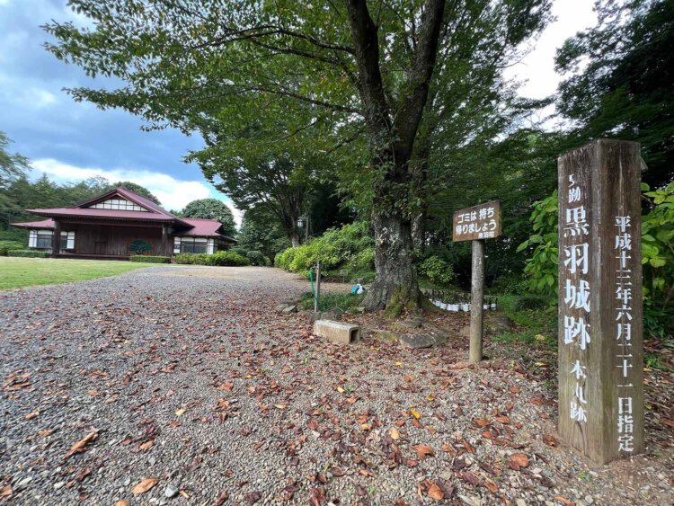 子連れシングルマザーが、文明開花の東京で就活に奮闘【大関和の東京を歩く（1）】
