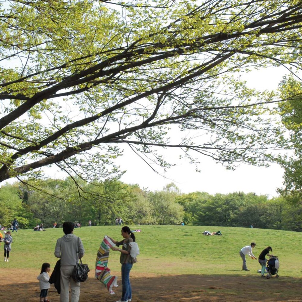 【多摩散歩コース】府中市～大國魂（おおくにたま）神社が見守る緑豊かな街～