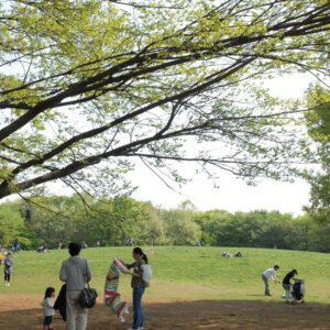【多摩散歩コース】府中市～大國魂（おおくにたま）神社が見守る緑豊かな街～