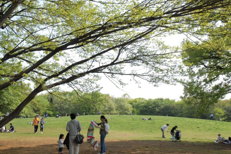 【多摩散歩コース】府中市～大國魂（おおくにたま）神社が見守る緑豊かな街～