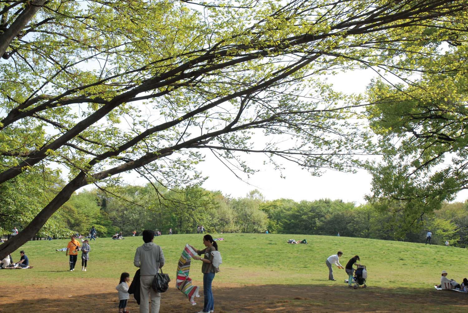 (メイン)府中の森公園