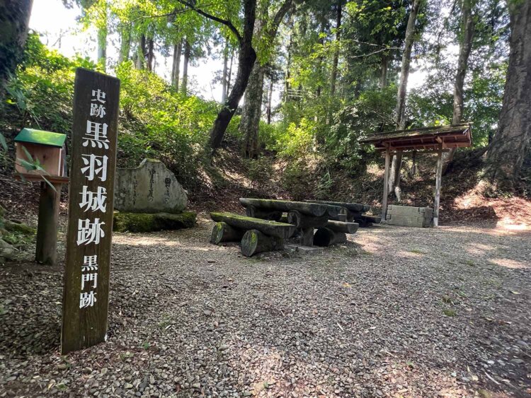 IMG_3921大関和
