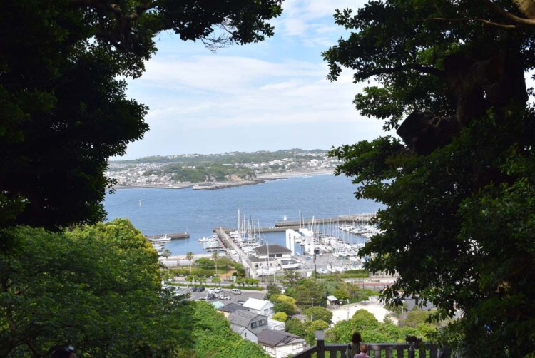 木々の切れ目から見える海もまた美しい。