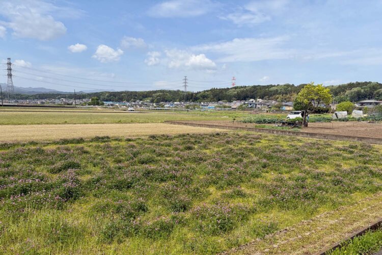 いきなりこの光景！　遠くになだらかな丘陵も見える。