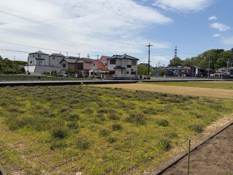 数軒並んだ家屋の中の……あの建物かな？
