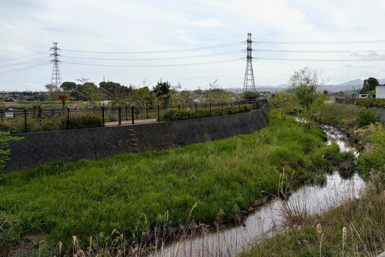 霞川の小さな流れ。注ぎ込むのは多摩川と思いきや、埼玉の入間川というのが意外！