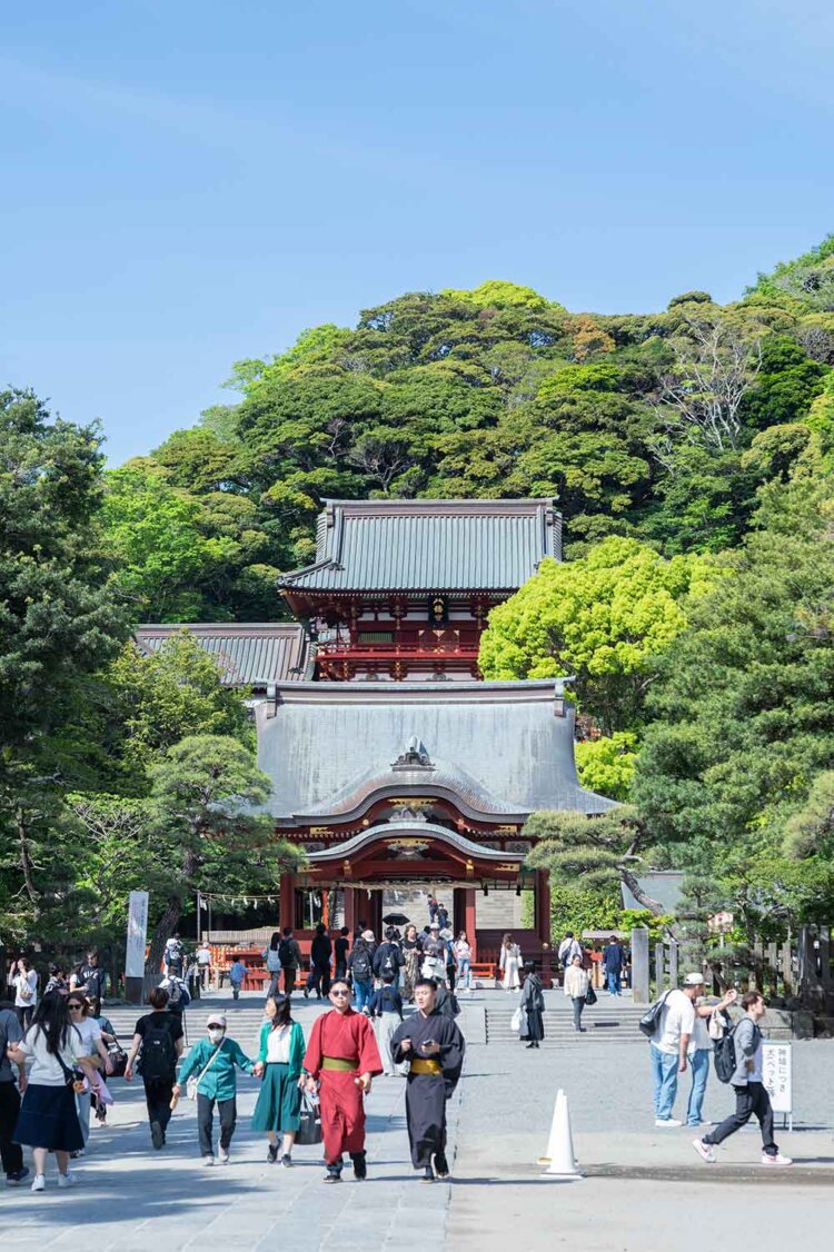 鶴岡八幡宮。