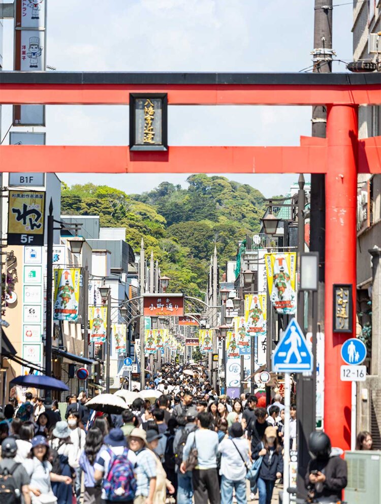 鳥居に始まる小町通りは駅と鶴岡八幡宮を結ぶ鎌倉きっての繁華街。