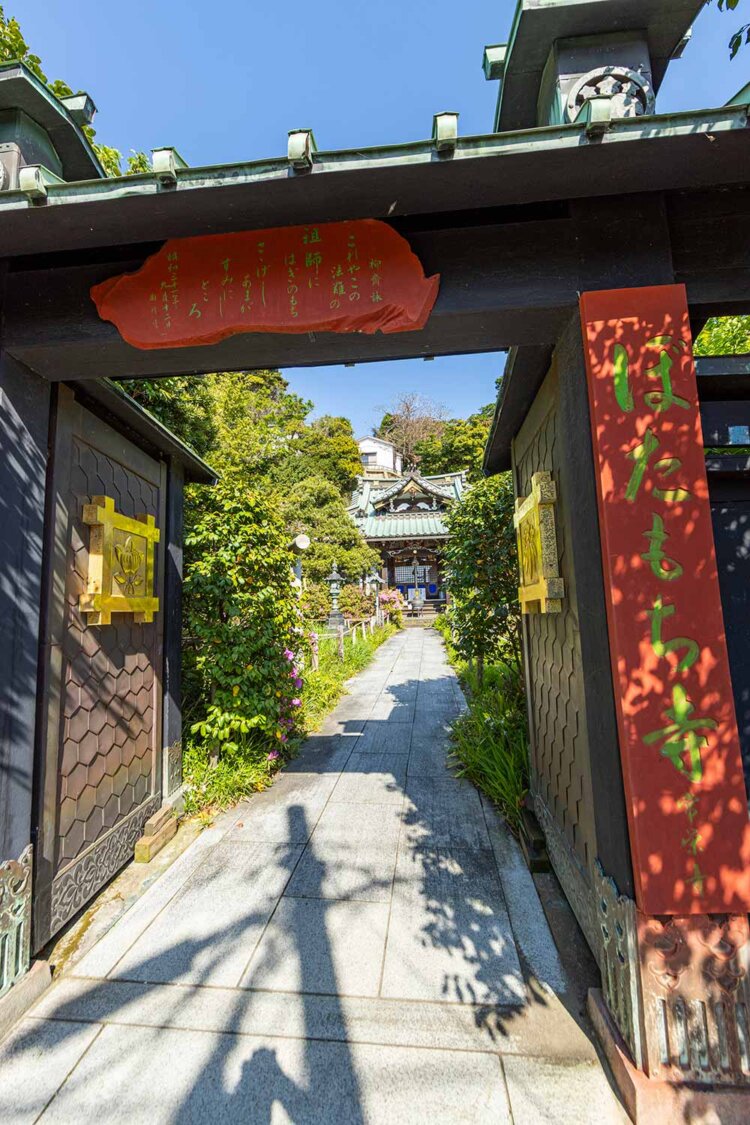 通称ぼたもち寺の常栄寺。小さな境内は草花であふれる。